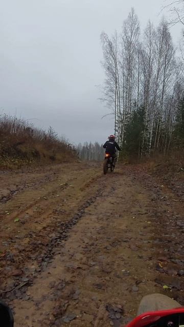 Окунули новый KEWS в грязьку и заодно обкатали 😁