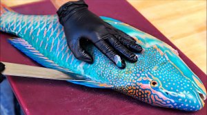 ГИГАНТСКИЙ ПОПУГАЙ-РЫБА Вьетнамская уличная еда