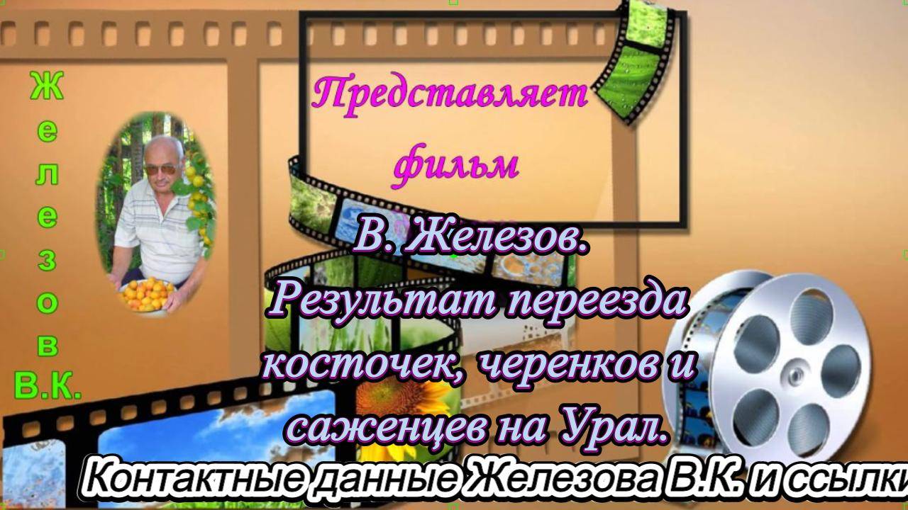 В. Железов. Результат переезда косточек, черенков и саженцев на Урал. смотреть онлайн