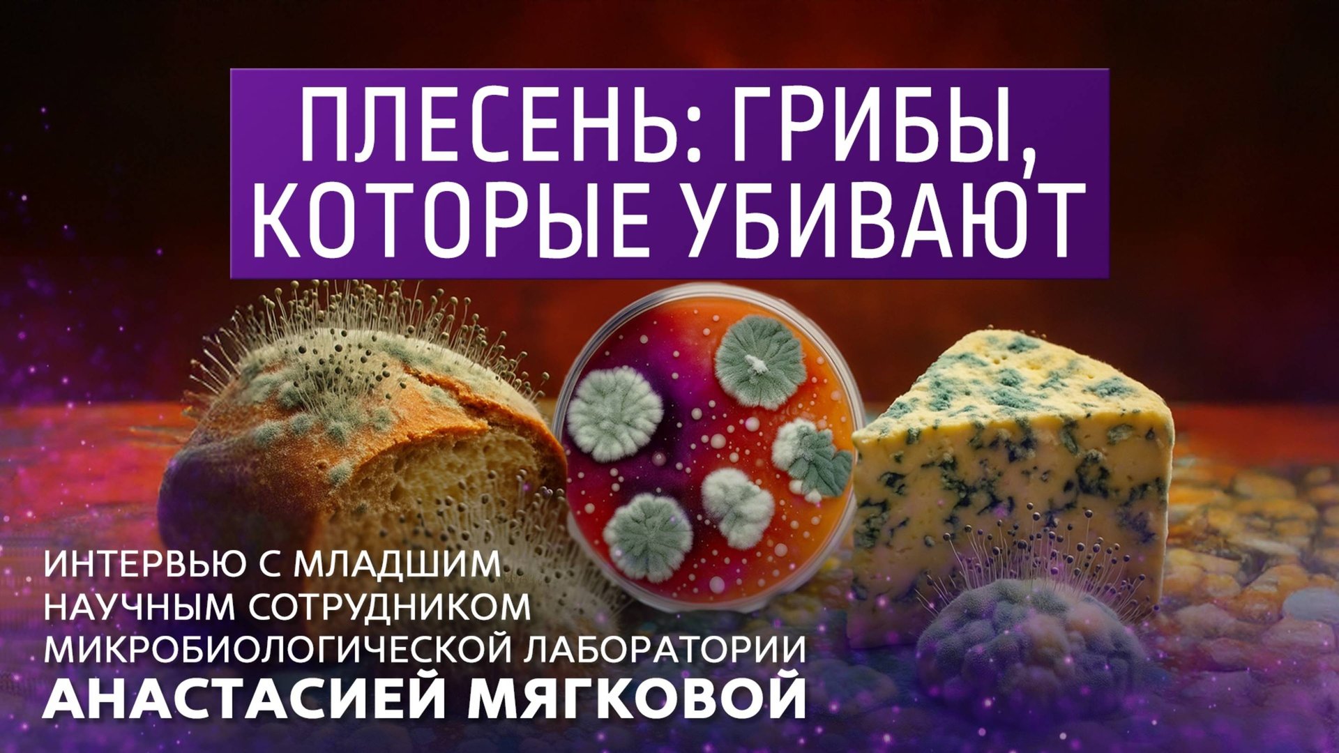 Плесень: грибы, которые убивают. смотреть онлайн