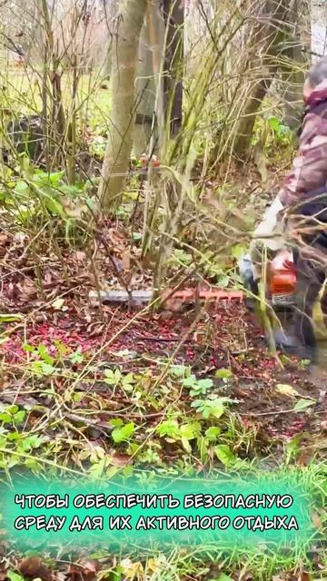 Чистый город - наша цель. смотреть онлайн