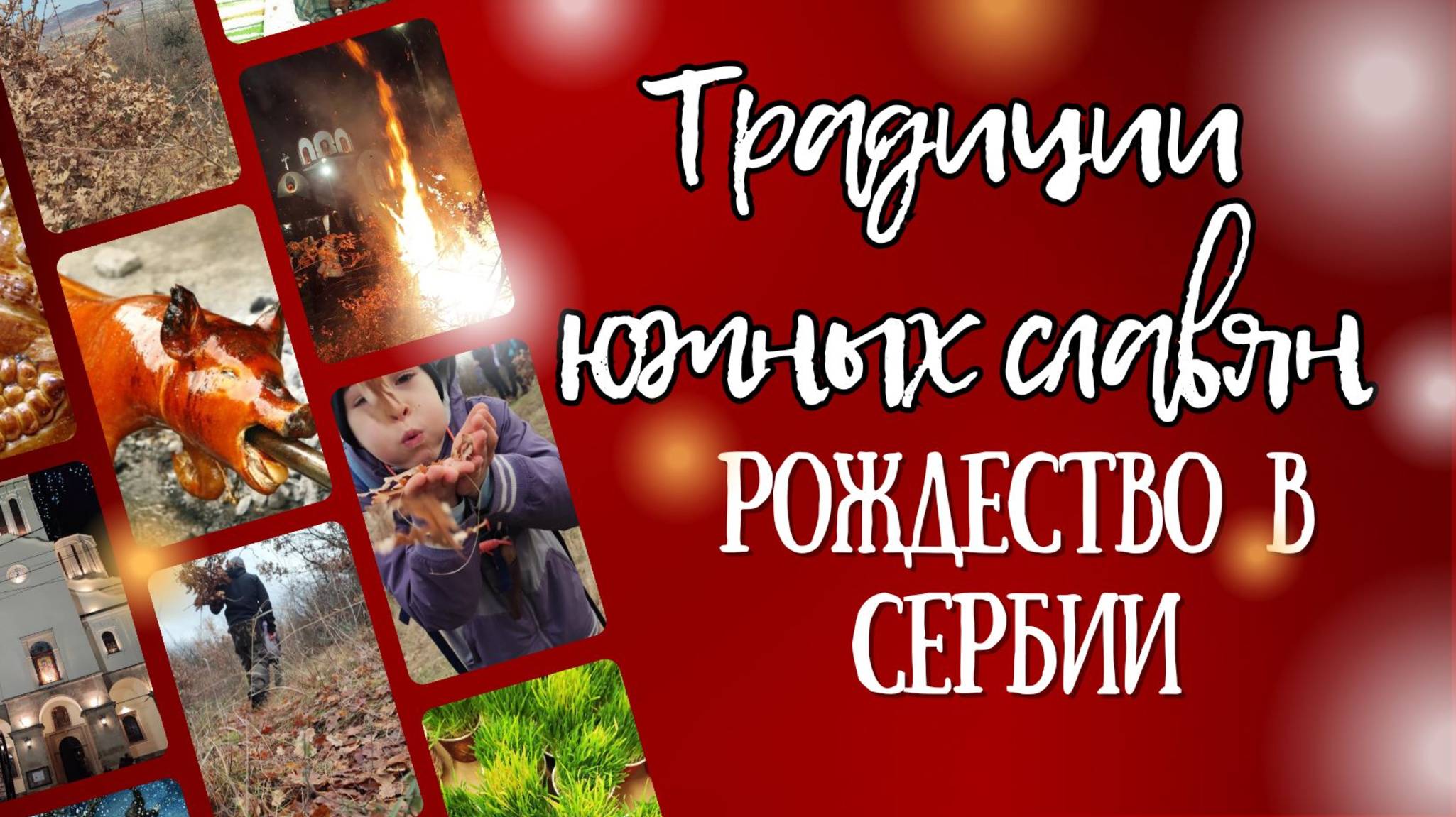 Удивительное празднование Рождества в Сербии, традиции празднования, горшочек с ростками, бадняк смотреть онлайн