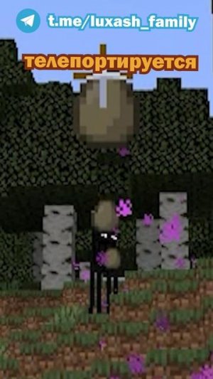 Интересные факты майнкрафт, о которых ты не знал!!!