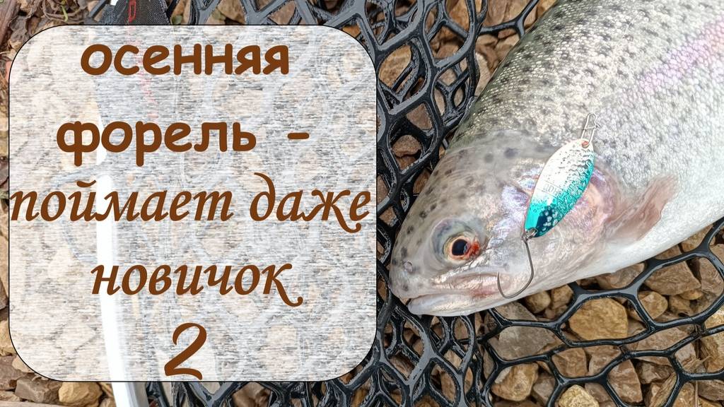 осенняя форель - поймает даже новичок 2 смотреть онлайн