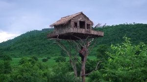 Как построить дом на 12 метровом дереве.