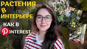 подписчики ИНТЕРЬЕРЫ обзор