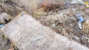 Разбор и добыча металла, Непогода,и Находки на Свалке.