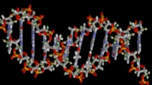 Гаряев-Матрицы.РФ__Женское омоложение матрицей Гаряева. Обновленная Медитация 2025