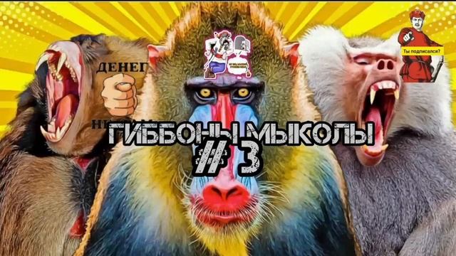АФЕРИСТЫ 404, Гиббоны и Мыколы.. смотреть онлайн