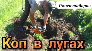 КОП МЕТАЛЛА в заливных лугах,поиск таборов