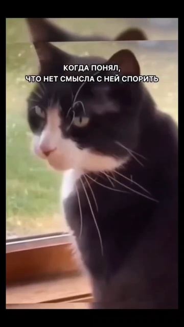 #спорить #отношение #смех #прикол #ржака смотреть онлайн