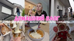 VLOG🇩🇪: НАГОТОВИЛА/МОЕМ ДОМ😅/ РОЖДЕСТВЕНСКИЙ ДЕКОР/ Пришла посылка 😍