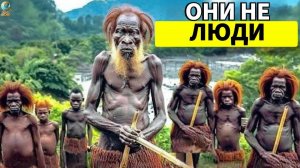 Это жизнь на ТРИСТАН-ДА-КУНЬЯ ｜ САМАЯ СТРАННАЯ ОСТРОВ, Г