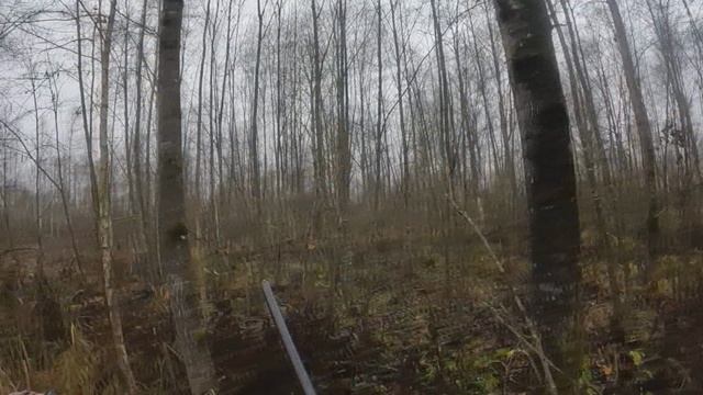 Охота с Добычем 11.11 2025г. смотреть онлайн