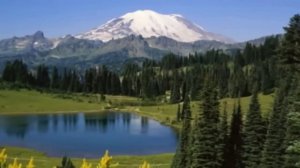 Kак прожить на свете без любви...