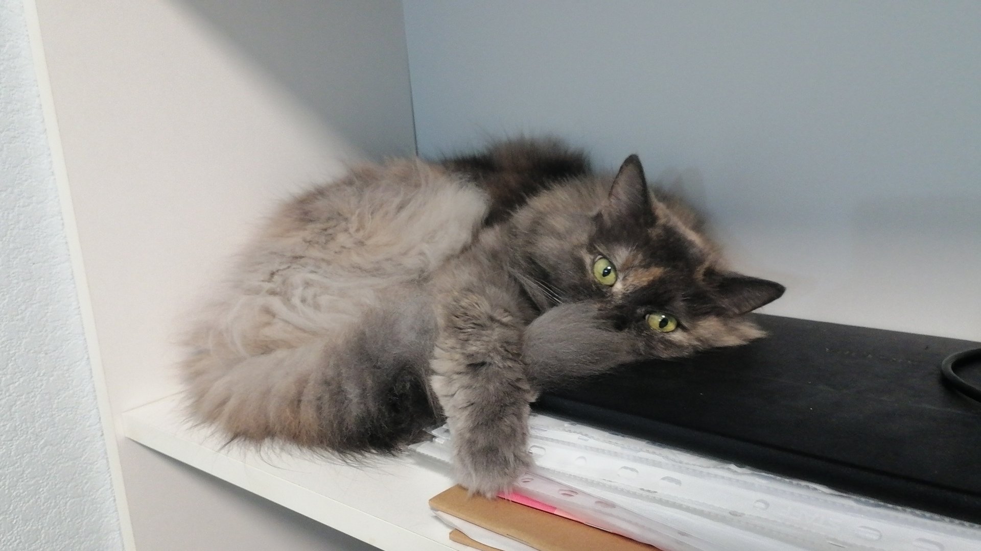 12-11-2025 смотреть онлайн