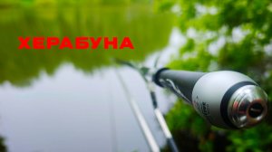 Булочка. Кусты. Поклёвка.