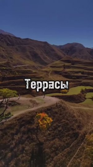 Чохские террасы