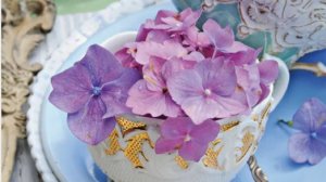 Красивые пожелания с добрым утром