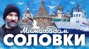 СОЛОВКИ-2019. Первое знакомство