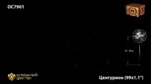 ОС7901 Салют «Центурион» (1,0«х99) 1/2/1