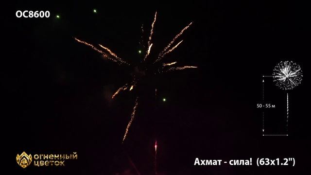 ОС8600 Салют Ахмат-сила! (1,2х63) 1/1/1 смотреть онлайн