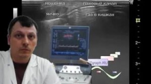 Детское УЗИ паховых каналов - Пахово-мошоночная грыжа