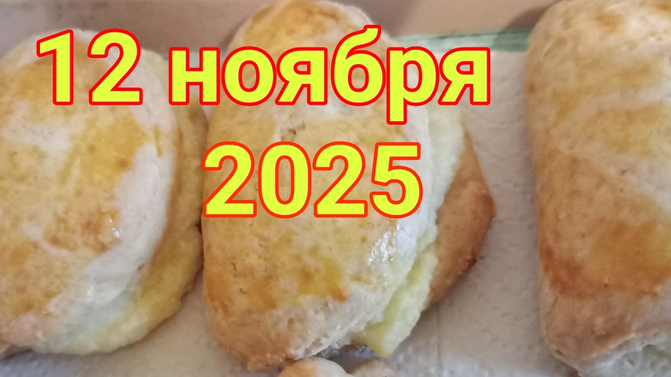 12 ноября 2025. Надины сочни. смотреть онлайн