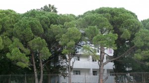 Всем привет из Абхазии город Гагра. Отель Жоэквара.  Номер Студия.  Наш отпуск. октябрь 2025 год..