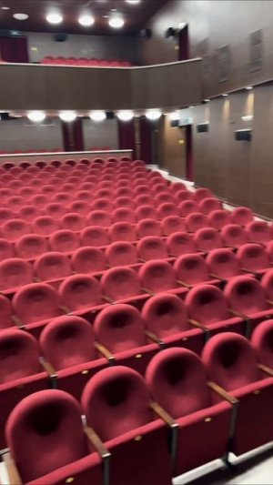 Уснул перед концертом 😇