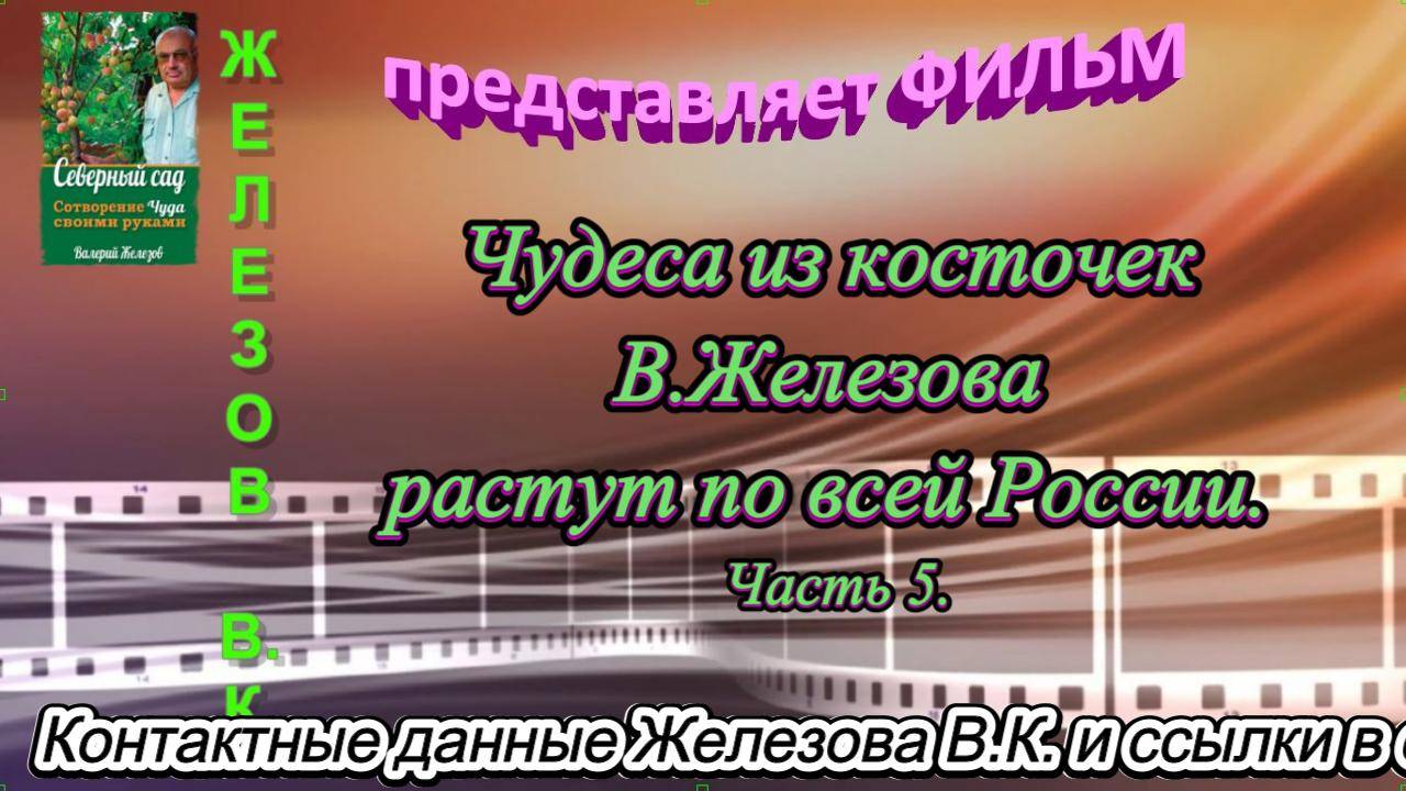 Чудеса из косточек В.Железова растут по всей России. Часть 5. смотреть онлайн