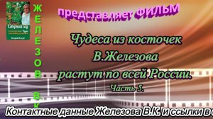 Чудеса из косточек В.Железова растут по всей России. Часть 5.