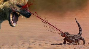 Невероятные приемы самозащиты этих животных поразили мир