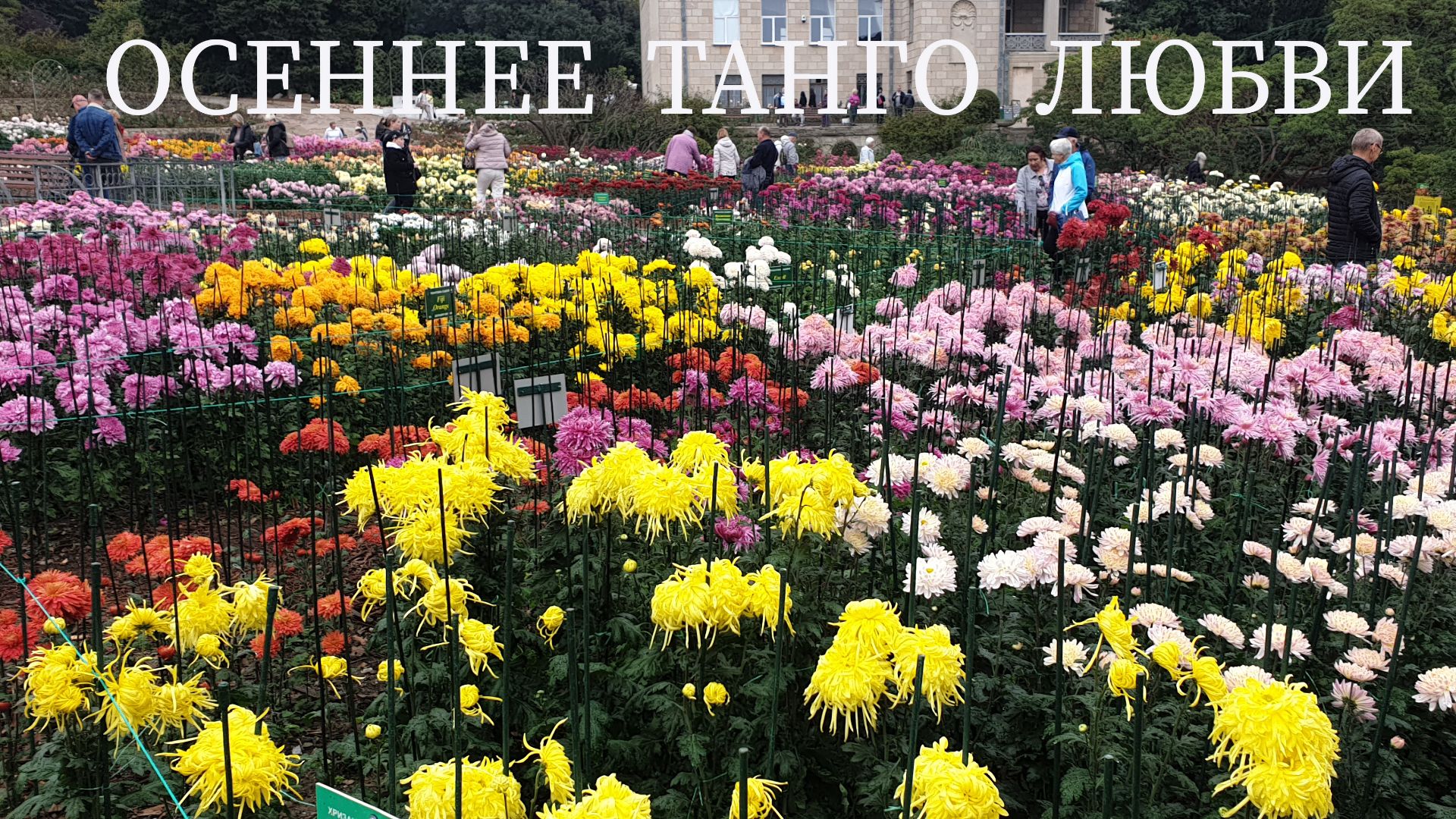 «Осеннее танго любви». Стихи Маргариты Булгаковой, мелодия Николая Носкова смотреть онлайн