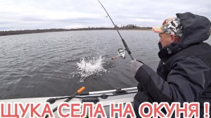 Курьёзный случай 😳 Ловля щуки, начало  ноября 🎣