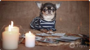 Лучшие выпускники