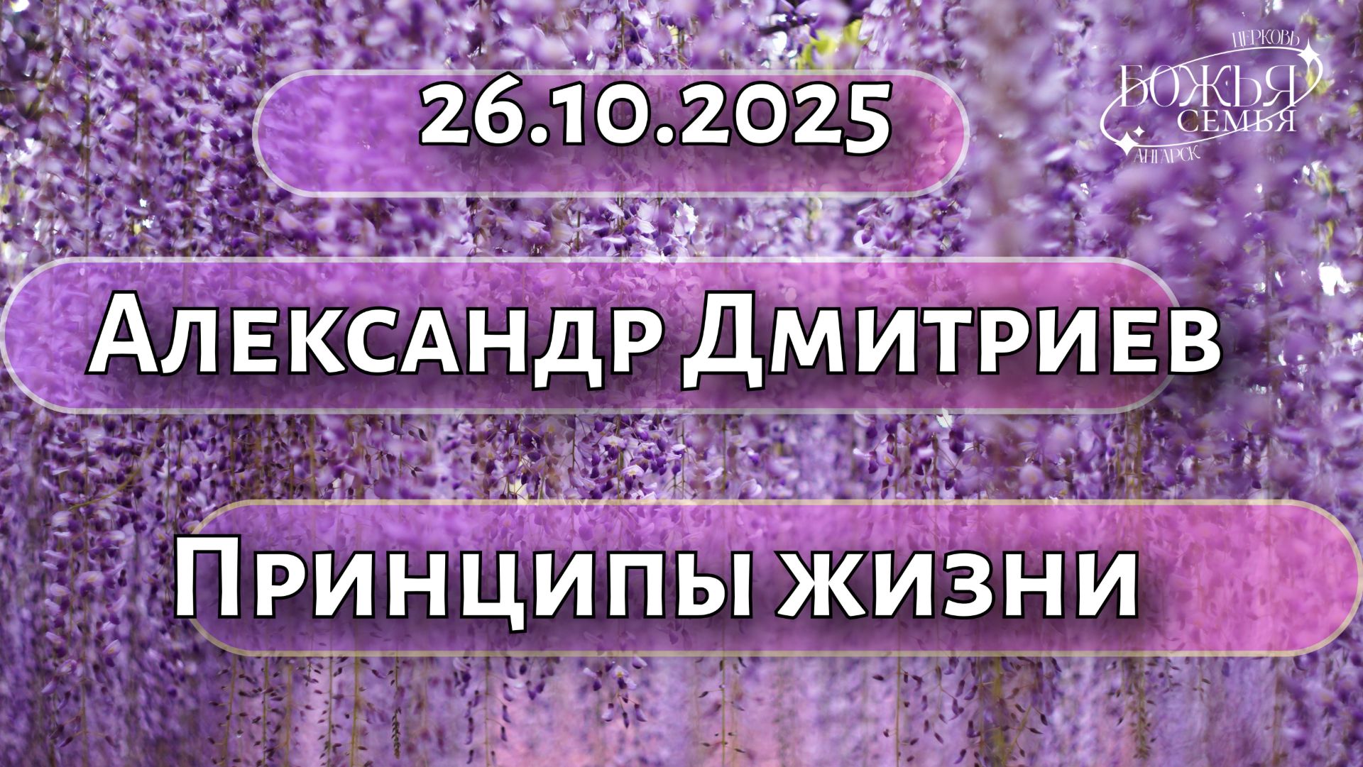 Александр Дмитриев  Принципы жизни  26.10.2025