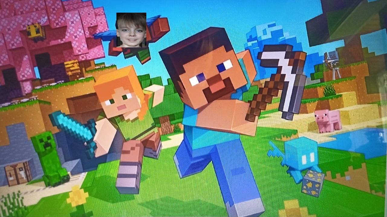 Майнкрафт с VLOG BRO