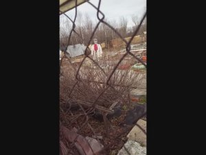 Пугало огородное Garden scarecrow