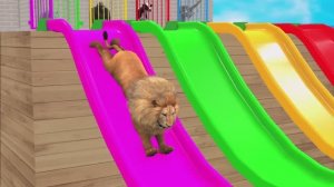 игра животные