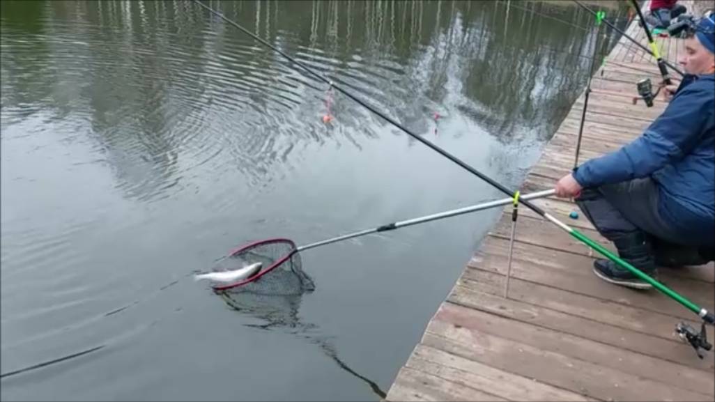 Рыбалка на нижнем водоёме. Клёвое место, Лосиный остров. смотреть онлайн