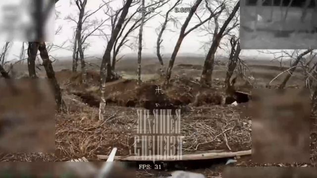 «самые хитрые» 200