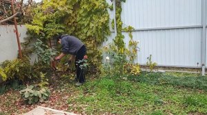 ВСЁ!!!  НАДОЕЛ😤 РЕШИЛА ИЗБАВИТЬСЯ ОТ НЕГО