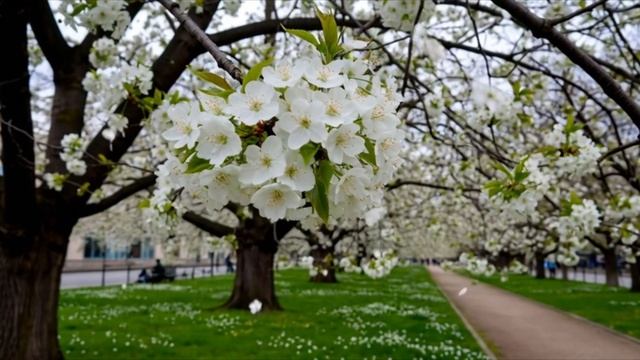 Позвони мне сынок раз в неделю хотя бы смотреть онлайн