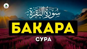 Сура Бакара. Коран