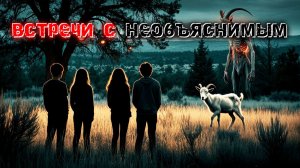 Лес ждал нас: 3 реальные истории, от которых стынет кровь