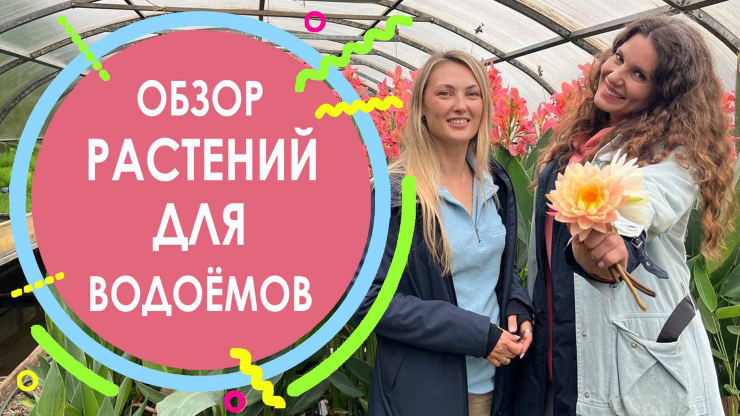 Обзор растений для водоёмов смотреть онлайн