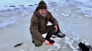 Поймал удачу за хвост. Рыбалка на хариуса на севере.