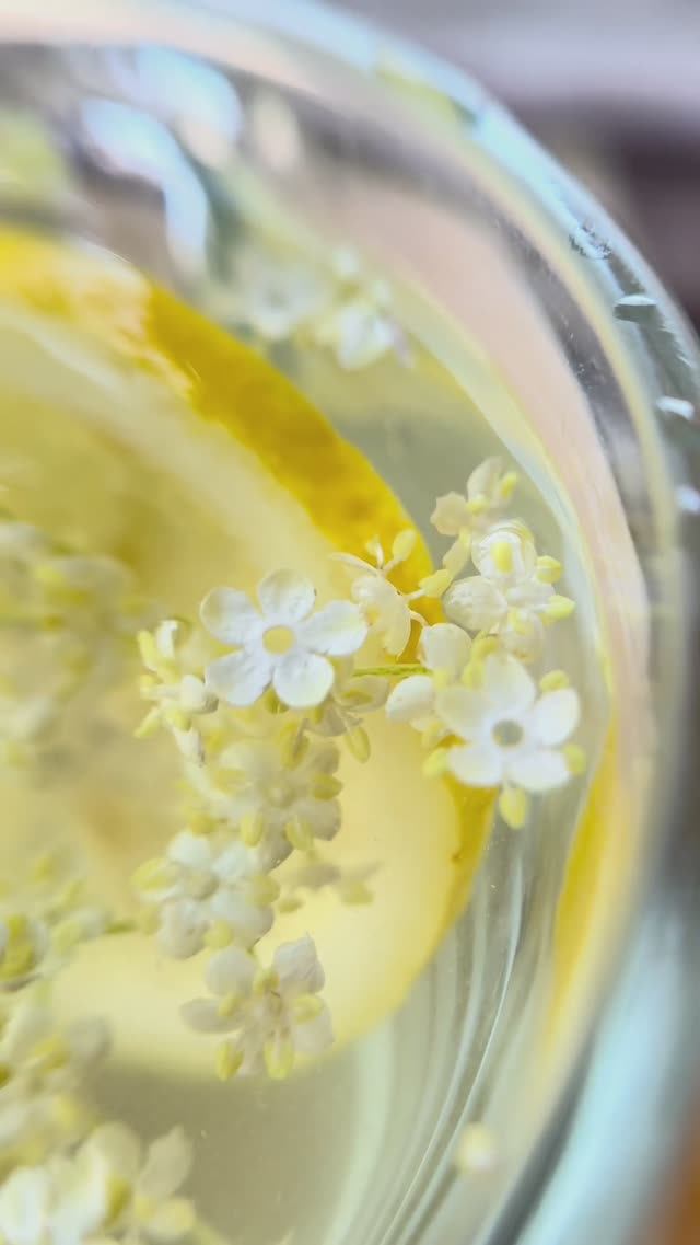 Лимонад из бузины. Полезно и вкусно. #сербия #горы #природа #дарыприроды