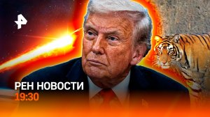 Амурских тигров ждет Казахстан /Спекуляции на метеорите /"Черную пятницу" отменили?/ГЛАВНОЕ ЗА ДЕНЬ